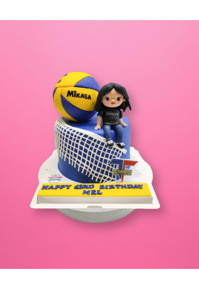 Volleybal Birthday Cake